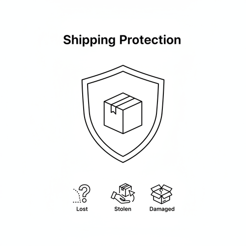 Black line infographic showing a parcel protected by a shield on a white background